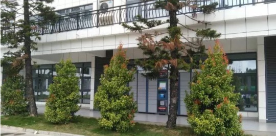 石家莊學機器人技術應用該去哪？