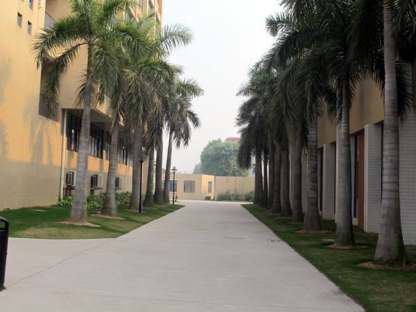 到石家莊鐵路專(zhuān)業(yè)學(xué)校學(xué)習(xí)鐵道運(yùn)輸管理專(zhuān)業(yè)好嗎？