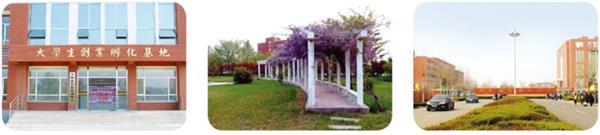 為什么那么多人想成為郵輪乘務(wù)人員？