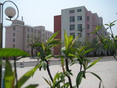 青島影視學校好嗎？