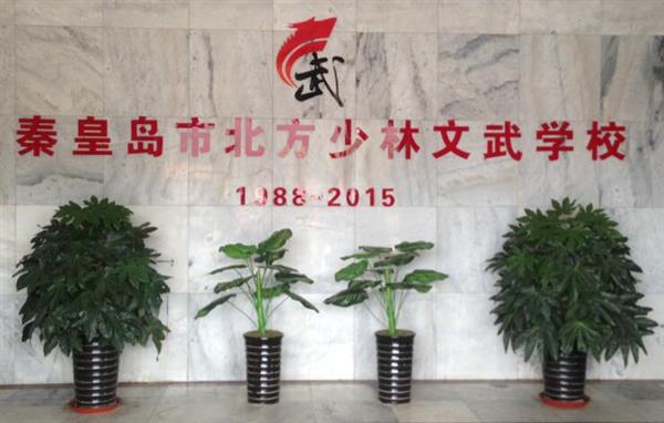 秦皇島北方少林文武學(xué)校就業(yè)如何？這答案你放心！