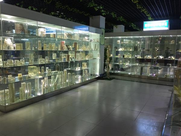 山東人民學(xué)院有沒有就業(yè)保障？