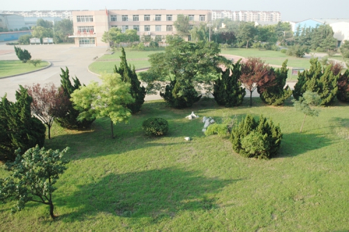 山東龍口礦業(yè)集團高級技工學校老師們教學怎么樣？升學率高嗎？