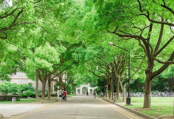 煙臺南山學院都有哪些辦學優(yōu)勢？