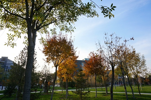 石家莊哪里適合學播音主持？