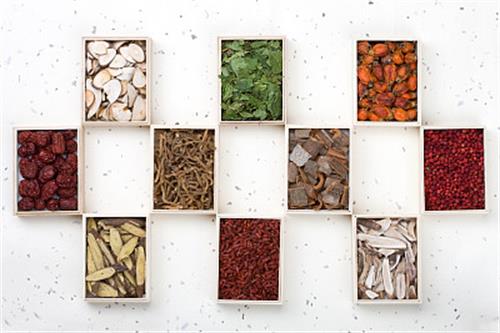 山東醫(yī)藥技師學(xué)院中藥系專業(yè)有哪些？