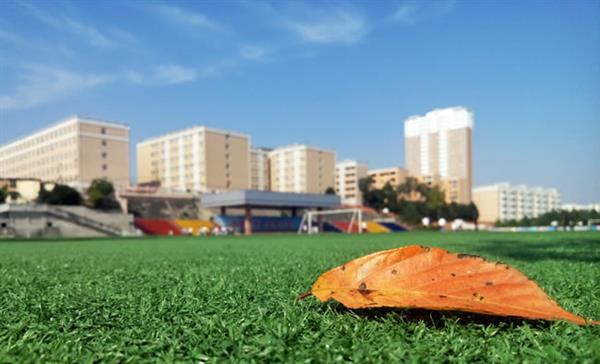 東營(yíng)市技師學(xué)院怎么樣？