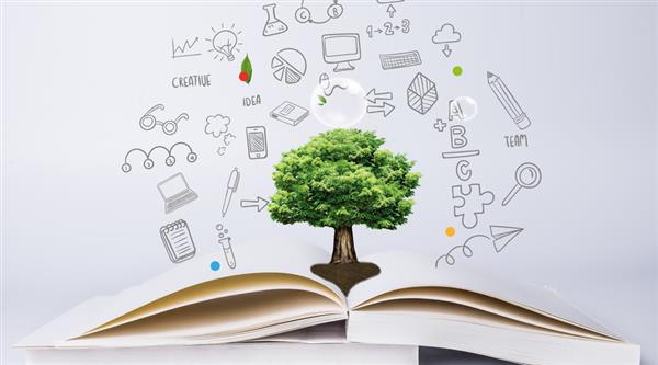 濱州市技術(shù)學(xué)院怎么樣？好不好？