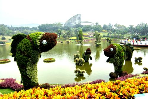 園林也是門藝術(shù)！張家口宣化科技職業(yè)學(xué)院園藝藝術(shù)專業(yè)介紹