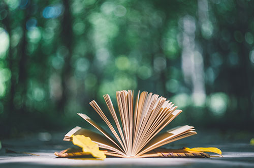 臨沂能源學(xué)校怎么樣？學(xué)校的就業(yè)情況怎么樣？