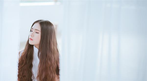 石家莊東方學(xué)院都開設(shè)了哪些專業(yè)？