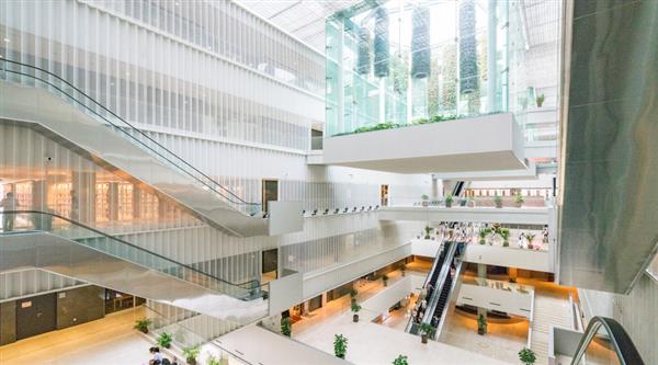 石家莊迅騰軟件學(xué)院都開設(shè)哪些專業(yè)？