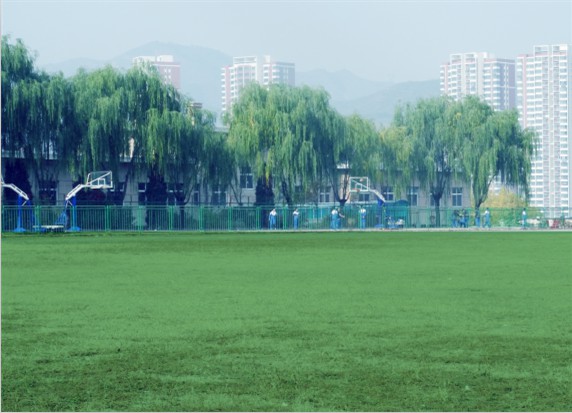 青島滿天星職業(yè)培訓(xùn)學(xué)校怎么樣？