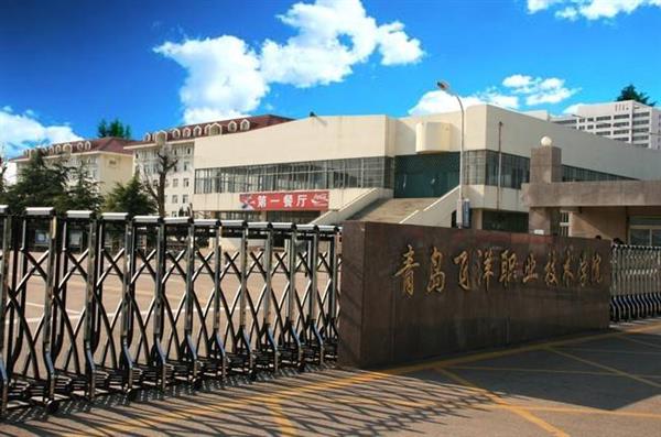 青島飛洋職業(yè)技術(shù)學(xué)院物流管理專業(yè)好嗎？