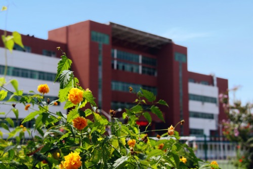 通過單招考取大學(xué)有哪些優(yōu)勢？