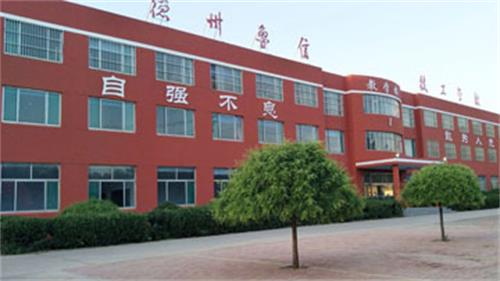 山東德州魯信通懋職業(yè)技工學(xué)校就業(yè)情況怎么樣？