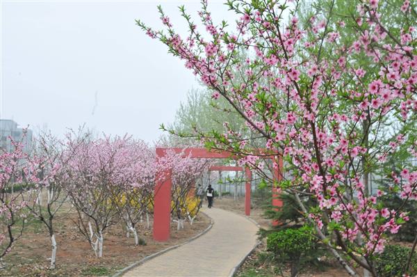 山東交通技師學院是一所怎么樣的學校？