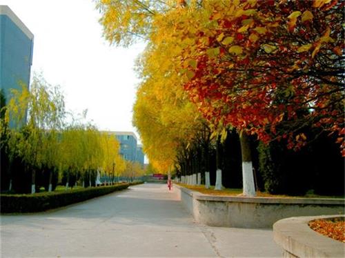 北京現(xiàn)代體育學院、航空乘務學院設施好嗎？