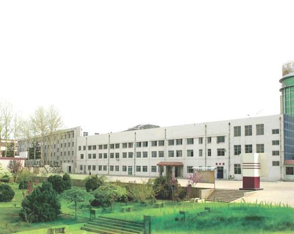 山東哪所學(xué)校能報(bào)考春季高考？