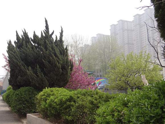 煙臺天虹學(xué)院怎么樣？