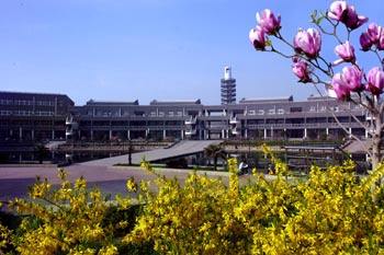 哪所學(xué)習(xí)有軟件與信息服務(wù)專(zhuān)業(yè)？   