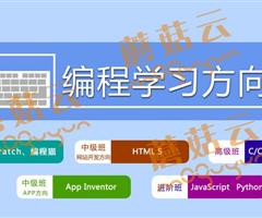 孩子為什么要盡早學習少兒編程。濟寧蘑菇云少兒編程